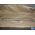 OEM 1973 1974 1975 1976 Cadillac Eldorado Convertible TRUNK LID HINGE SUPPORT TENSION TORSION RODS #9623169 RH, #9623170 LH